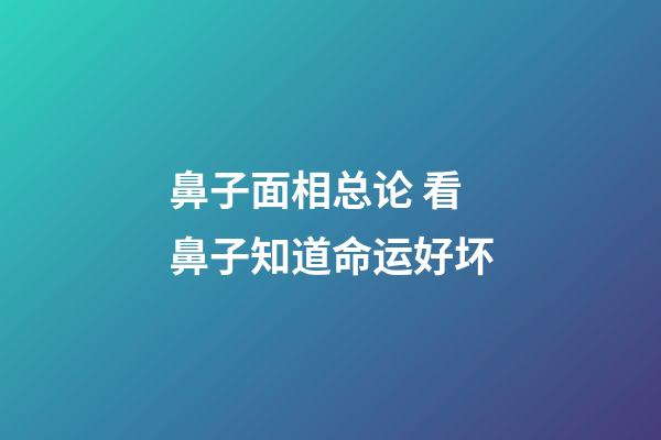 鼻子面相总论 看鼻子知道命运好坏